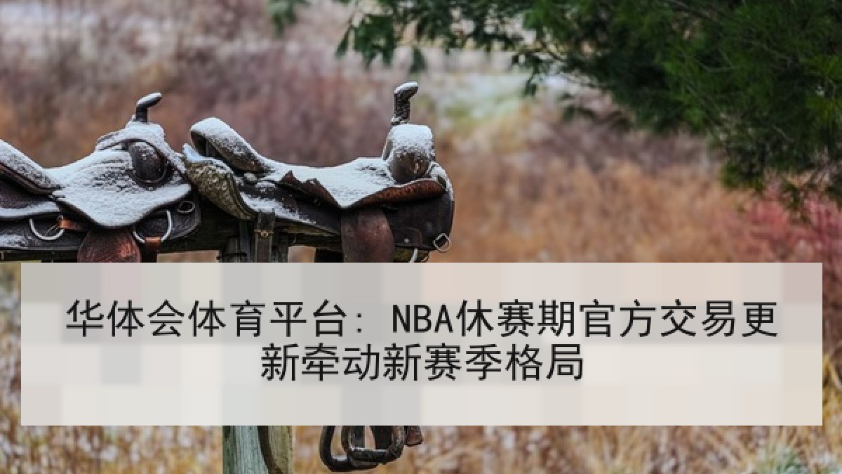 华体会体育平台: NBA休赛期官方交易更新牵动新赛季格局