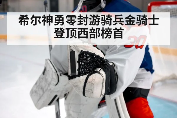 希尔神勇零封游骑兵金骑士登顶西部榜首
