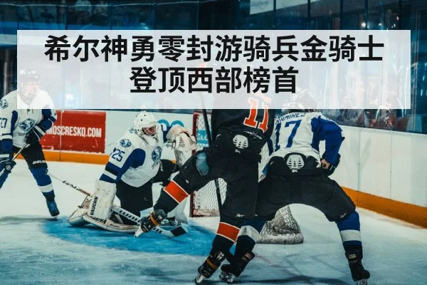 ice hockey defense